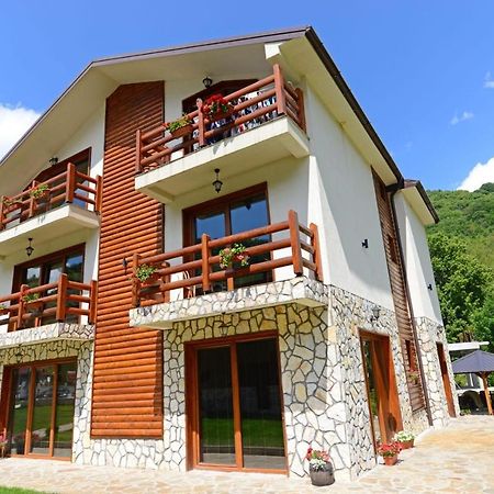 Villa 'Iva' Маврово Екстер'єр фото